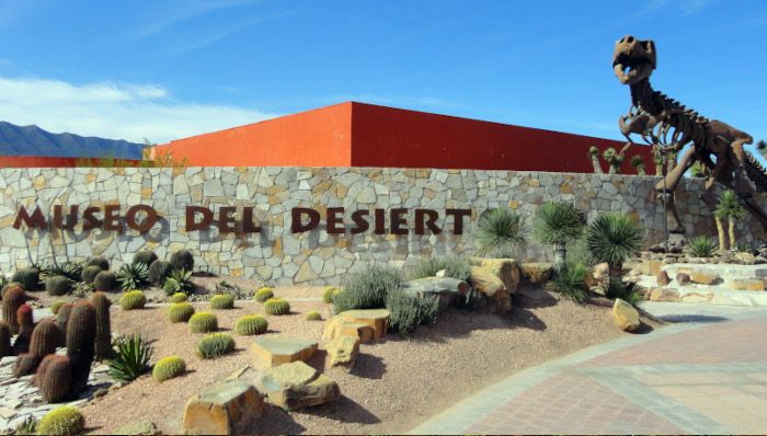 Museo del Desierto