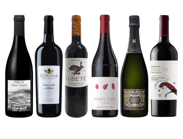 Segundo Semestre de Selección 2025